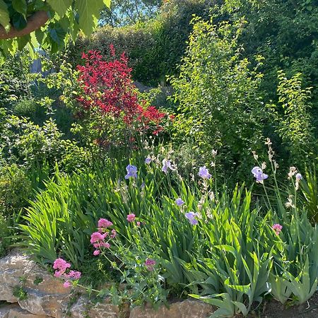 הוילה אובינן Le Jardin De Lau מראה חיצוני תמונה