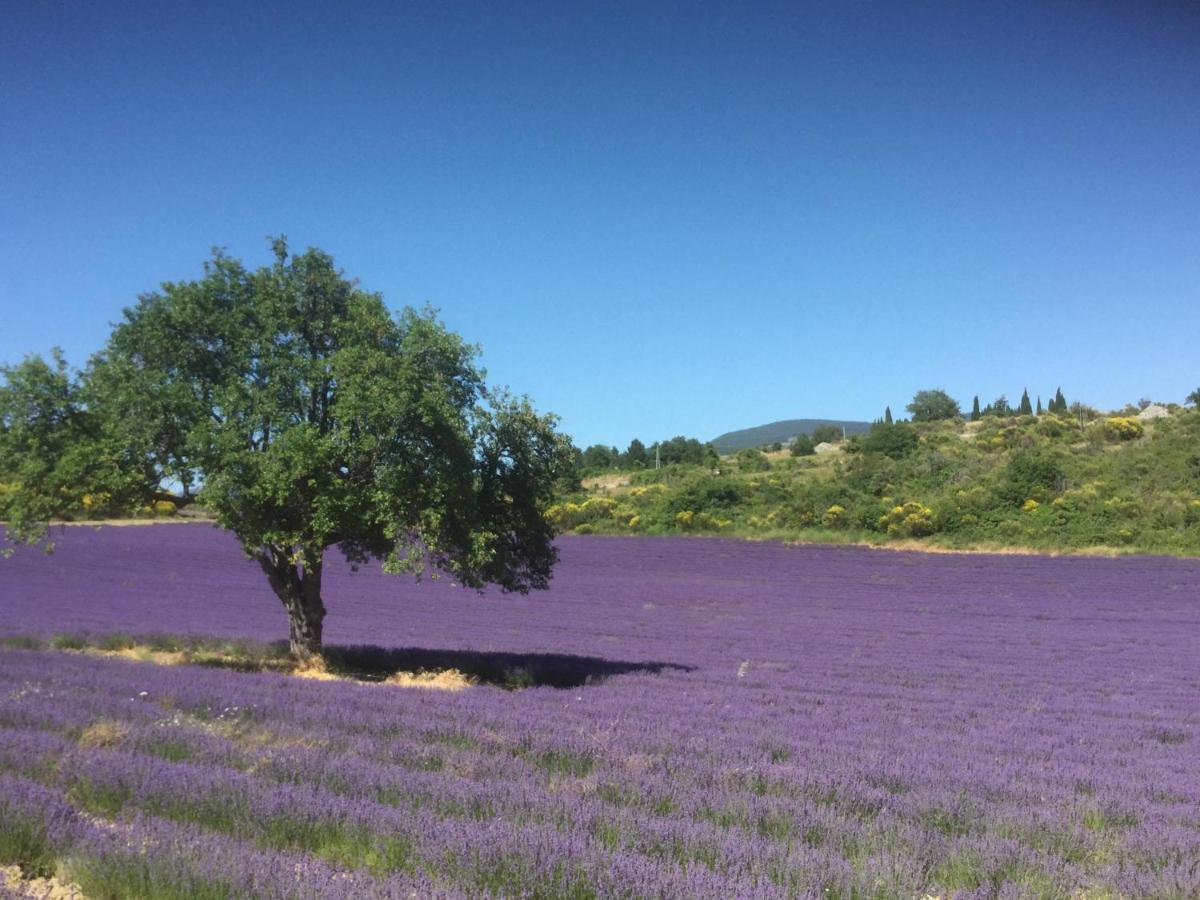 הוילה אובינן Le Jardin De Lau מראה חיצוני תמונה