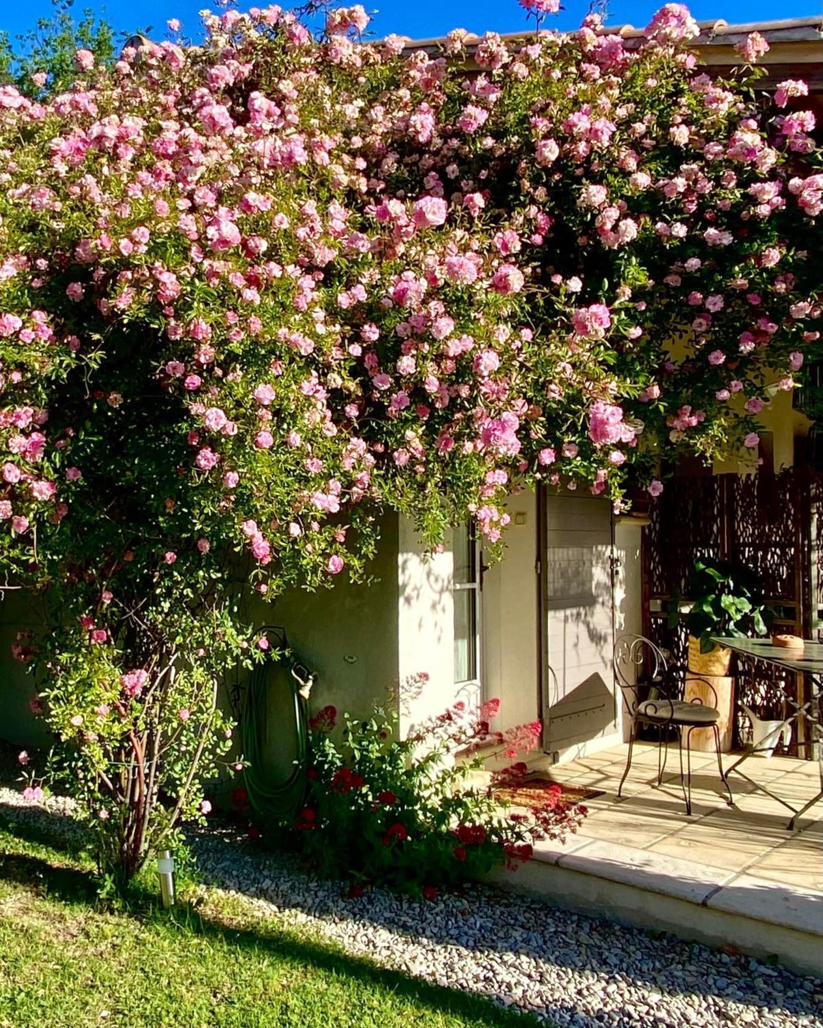 הוילה אובינן Le Jardin De Lau מראה חיצוני תמונה