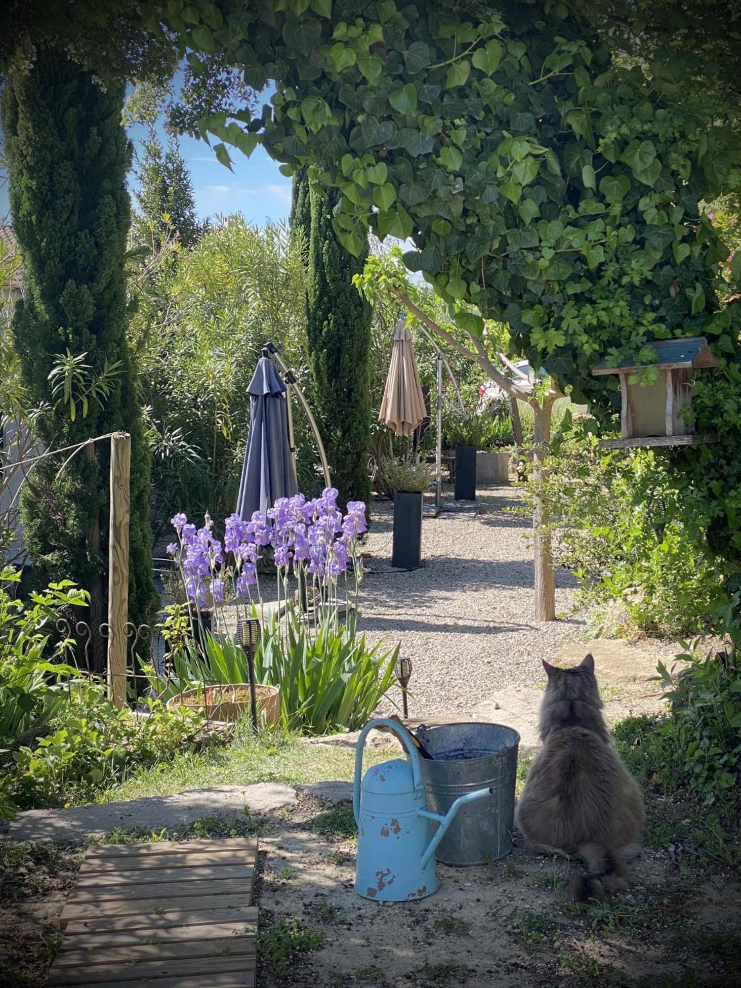 הוילה אובינן Le Jardin De Lau מראה חיצוני תמונה